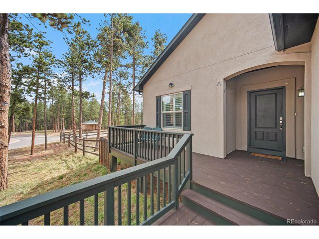 1101 Ptarmigan Dr, Woodland Park, CO 80863