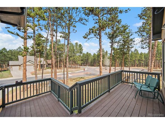 1101 Ptarmigan Dr, Woodland Park, CO 80863