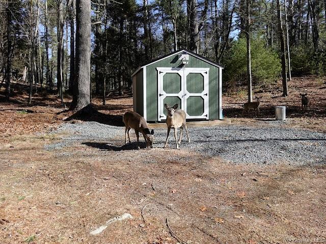 56 Beaver Brook Road, Yulan, NY 12792