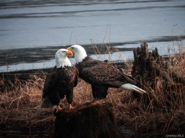 56 Beaver Brook Road, Yulan, NY 12792