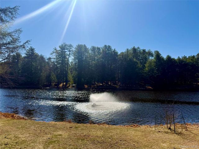 56 Beaver Brook Road, Yulan, NY 12792