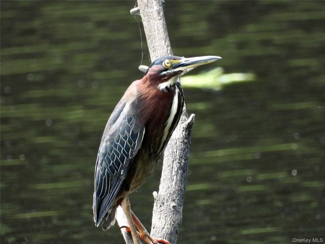 56 Beaver Brook Road, Yulan, NY 12792