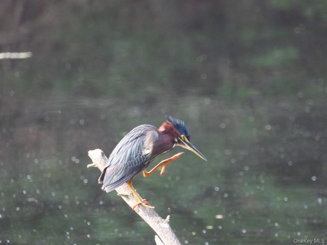 56 Beaver Brook Road, Yulan, NY 12792