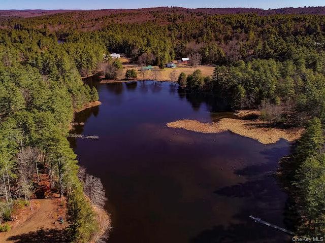56 Beaver Brook Road, Yulan, NY 12792