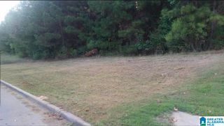 1064 GRANDE VIEW PASS, Maylene, AL 35114