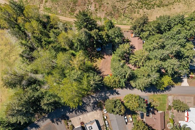 211 N Mount Christie Drive, Hoodsport, WA 98548
