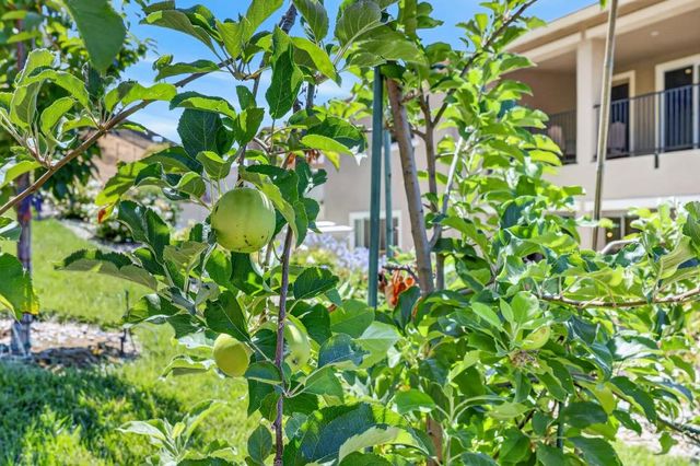 3178 Red Granite Dr, El Dorado Hills, CA 95762