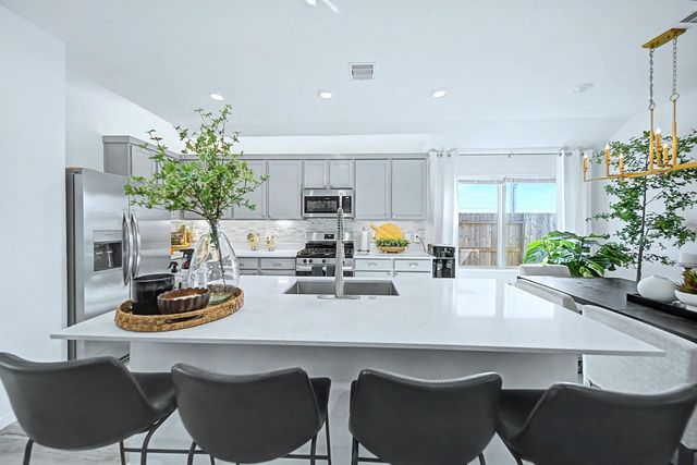 22616 Hackberry Leaf Drive, New Caney, TX 77357