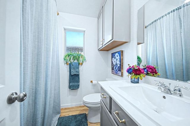 22616 Hackberry Leaf Drive, New Caney, TX 77357