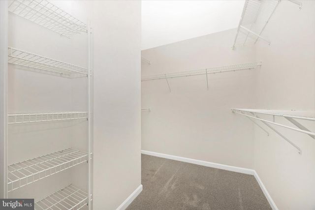 6353 BANNISTER DR, Frederick, MD 21701