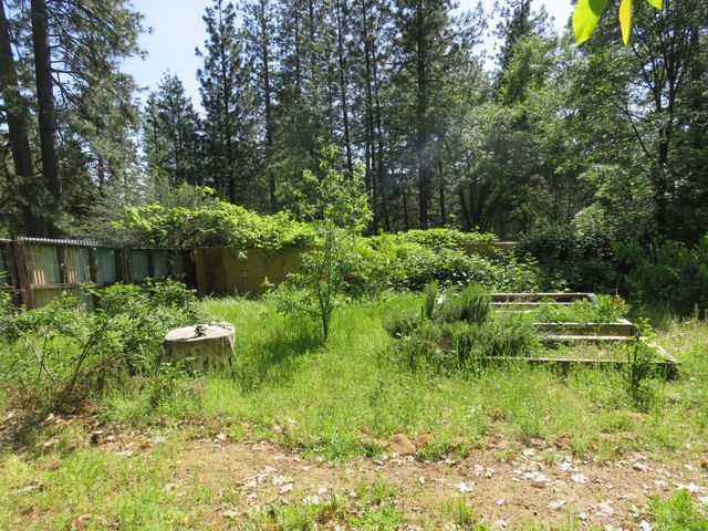 2400 Bald Mountain Rd, West Point, CA 95255