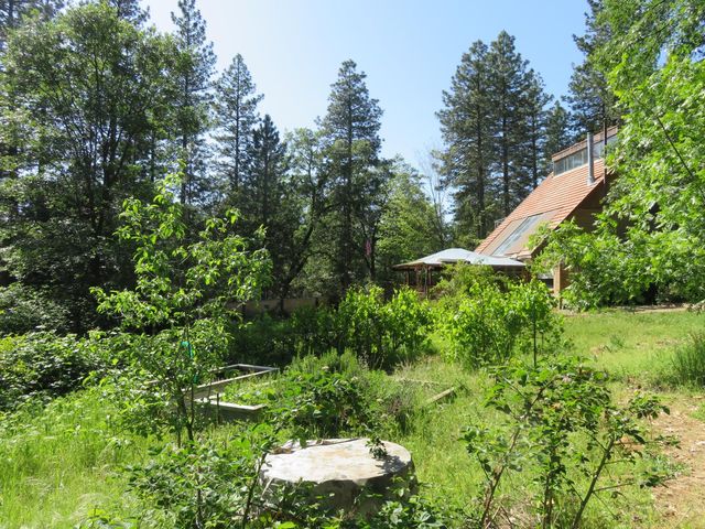 2400 Bald Mountain Rd, West Point, CA 95255