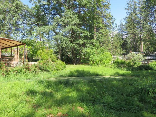 2400 Bald Mountain Rd, West Point, CA 95255