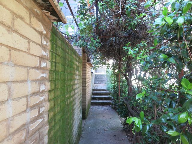 2400 Bald Mountain Rd, West Point, CA 95255