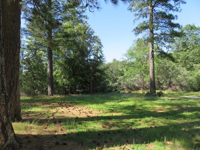 2400 Bald Mountain Rd, West Point, CA 95255