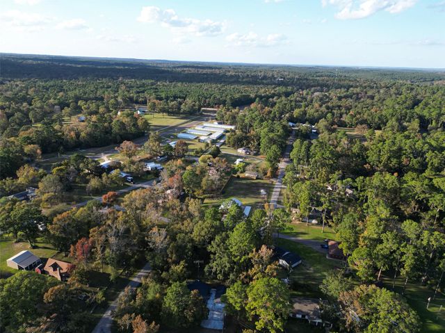 617 Gov Wood Drive, Point Blank, TX 77364