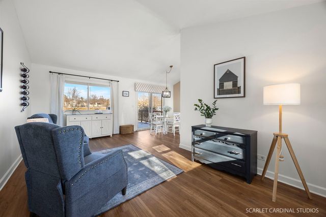 1217 River Oak Drive, Naperville, IL 60565