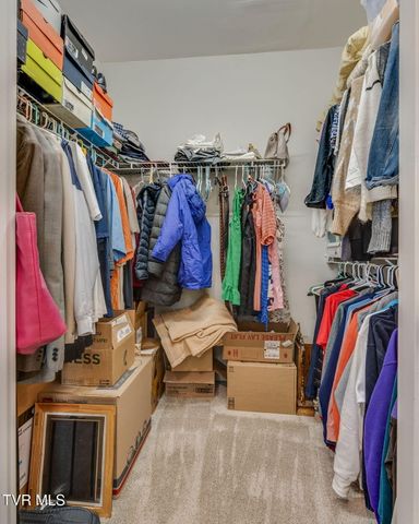 364 Jessicas Way, Johnson City, TN 37615