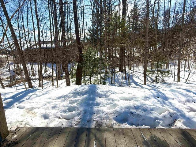 11C Snow Tree Ln, Dover, VT 05356