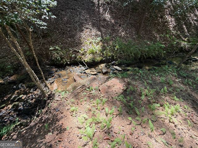 297 Oneida Circle, Ellijay, GA 30540