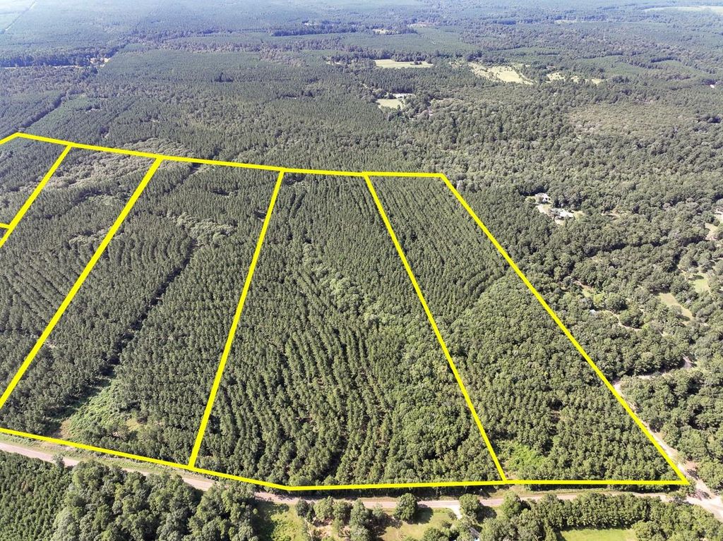 1 County Road 1325, Warren, TX 77664