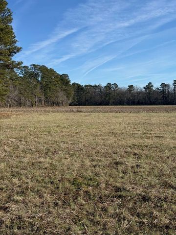 Lot 7 Johnson Shelley Rd., Conway, SC 29526