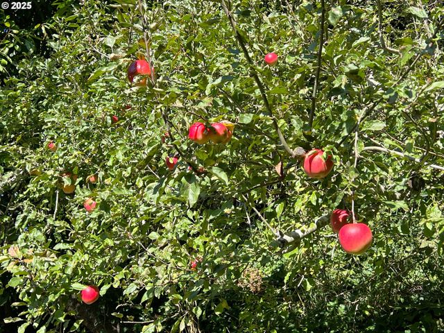 860 8TH Ter, Coos Bay, OR 97420