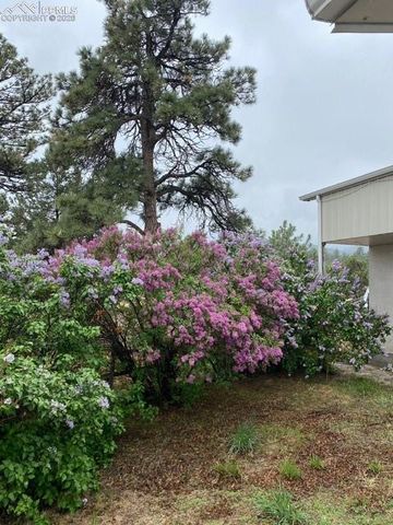 2911 County Road 103, Florence, CO 81226