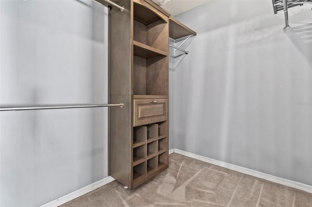 1239 AVONWOOD COURT, Lutz, FL 33559
