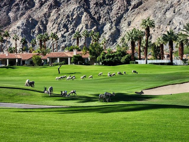 55280 Riviera, La Quinta, CA 92253