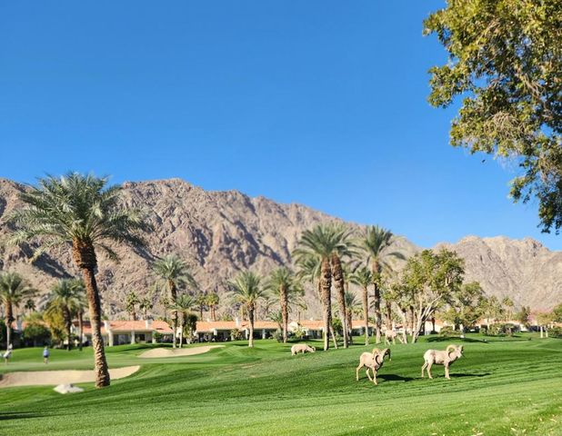 55280 Riviera, La Quinta, CA 92253