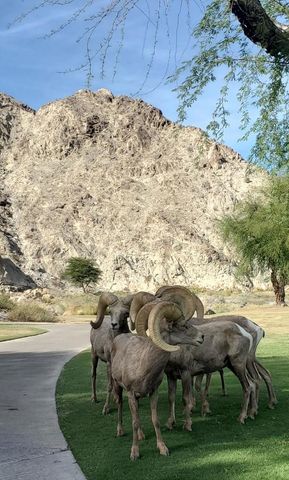 55280 Riviera, La Quinta, CA 92253