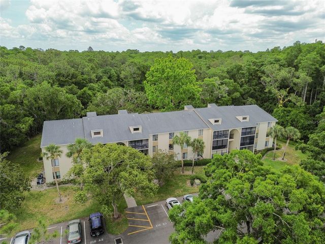 3232 LAKE PINE WAY E F3, Tarpon Springs, FL 34688