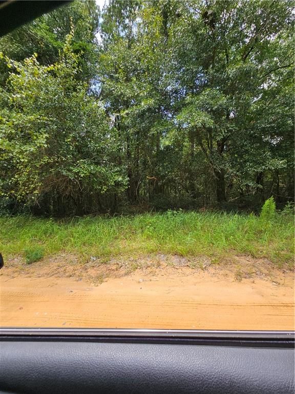0 Spice Pond Road, Eight Mile, AL 36613 — exterior