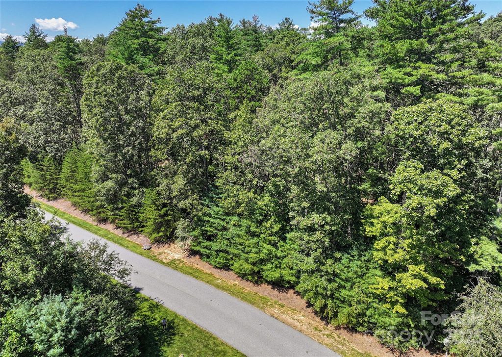 15 Mirehouse Run, Asheville, NC 28803