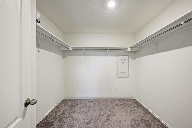 521 Lady Swiss LN, Hutto, TX 78634