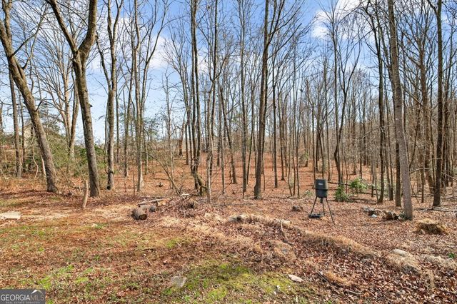 818 Dean Mountain Road, Cleveland, GA 30528