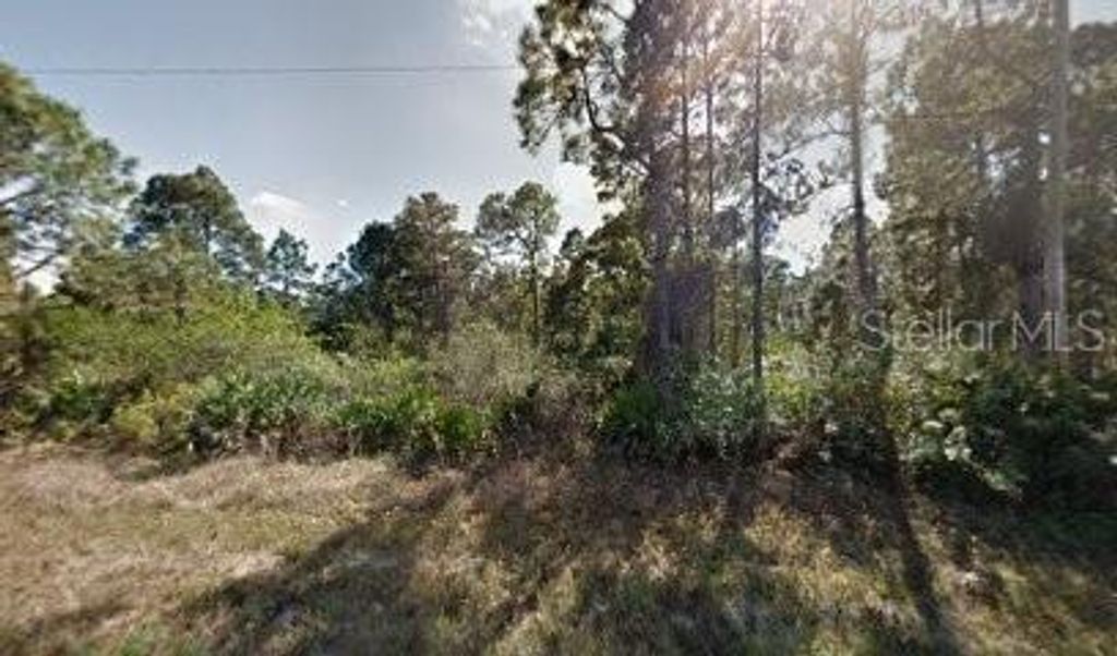 1118 COVE STREET E, Lehigh Acres, FL 33974