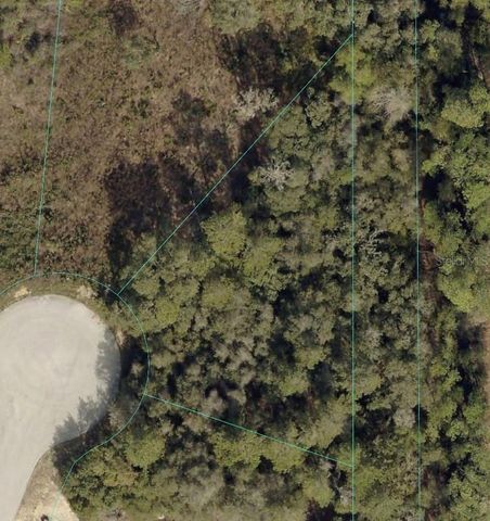 SW 98TH PLACE, Ocala, FL 34476