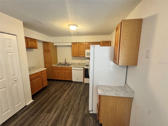 316 E PRIMROSE LANE, Lady Lake, FL 32159