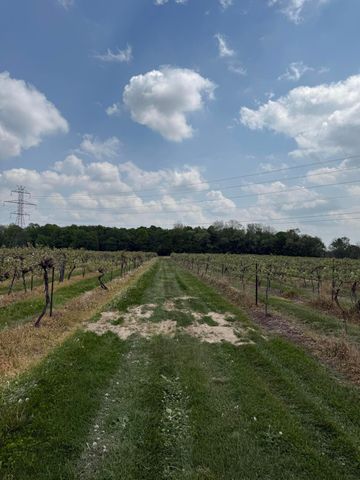 V/L Scottdale Road, Berrien Springs, MI 49103