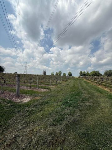V/L Scottdale Road, Berrien Springs, MI 49103