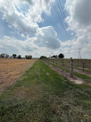 V/L Scottdale Road, Berrien Springs, MI 49103
