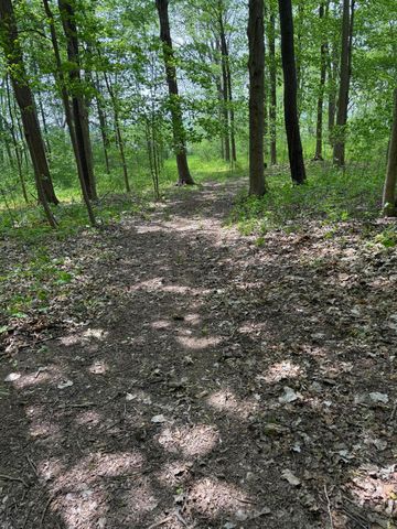 V/L Scottdale Road, Berrien Springs, MI 49103
