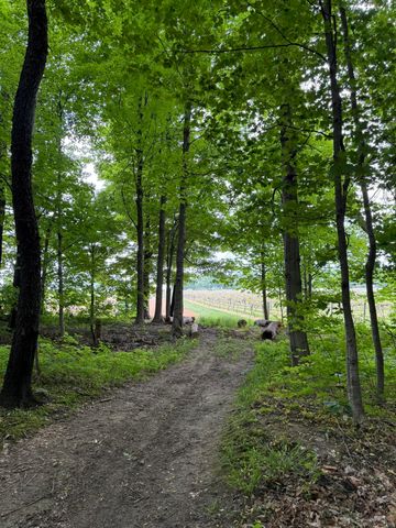 V/L Scottdale Road, Berrien Springs, MI 49103