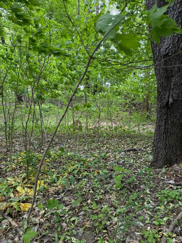 V/L Scottdale Road, Berrien Springs, MI 49103