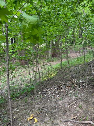 V/L Scottdale Road, Berrien Springs, MI 49103