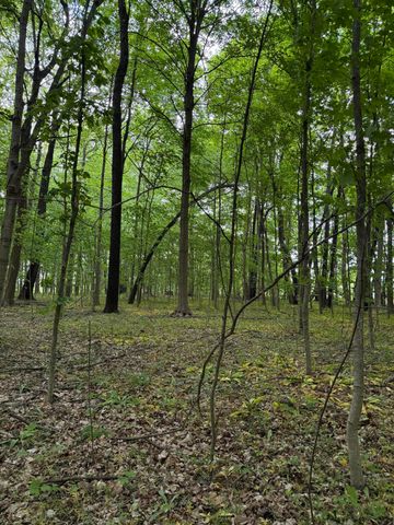 V/L Scottdale Road, Berrien Springs, MI 49103