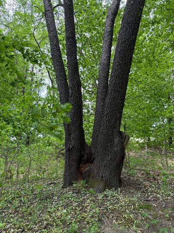 V/L Scottdale Road, Berrien Springs, MI 49103