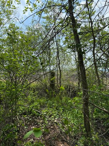 V/L Scottdale Road, Berrien Springs, MI 49103